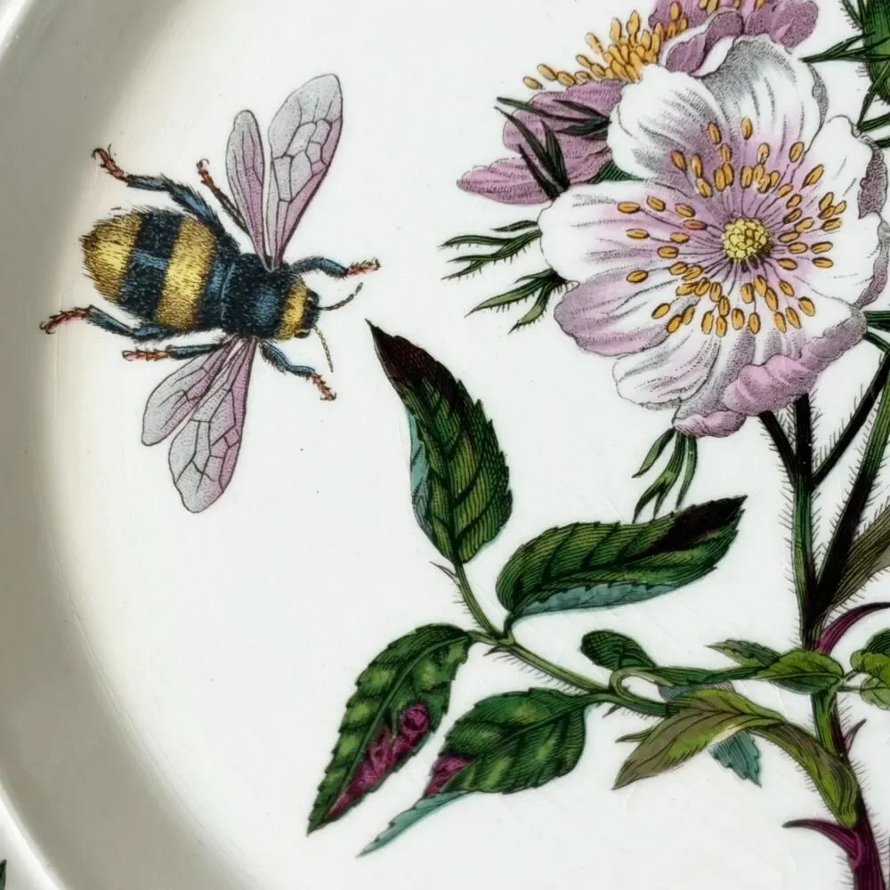 Portmeirion Botanic Garden Rosa Canina Dog Rose Salad Plate 8.5